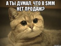 А ты думал, что в SMM нет продаж? 