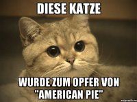 Diese Katze wurde zum Opfer von "American Pie"