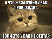 а что же за хуйня у вас происходит, если это у вас не секта?