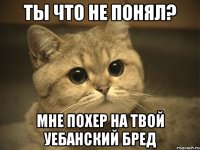 ты что не понял? мне похер на твой уебанский бред