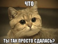 что ты так просто сдалась?