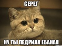 Серег Ну ты педрила ебаная