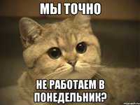 Мы точно не работаем в понедельник?