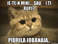 IE-TE-N MINI.... SAU șI TI RUPI? PIDRILA IOBANAIA..