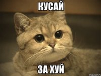 Кусай За хуй