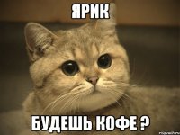 Ярик будешь кофе ?