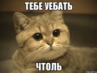 тебе уебать чтоль