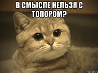 в смысле нельзя с топором? 