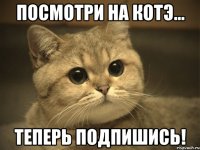 ПОСМОТРИ НА КОТЭ... ТЕПЕРЬ ПОДПИШИСЬ!