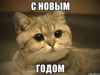 С Новым годом