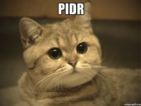 pidr 