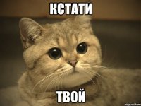 кстати твой