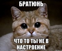 Братюнь что то ты не в настроение