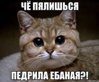 Чё пялишься Педрила ебаная?!