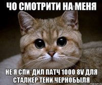 чо смотрити на меня не я спи*дил патч 1000 8v для сталкер тени чернобыля