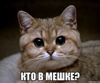  кто в мешке?