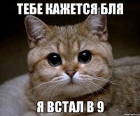 тебе кажется бля я встал в 9