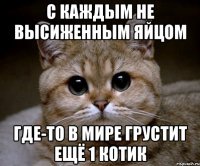 C каждым не высиженным яйцом Где-то в мире грустит ещё 1 котик