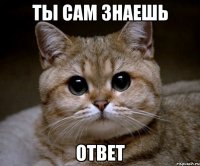 ТЫ САМ ЗНАЕШЬ ОТВЕТ