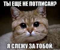 Ты еще не потписан? Я слежу за тобой.