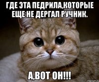 Где эта педрила,которые еще не дергал ручник. А,вот он!!!