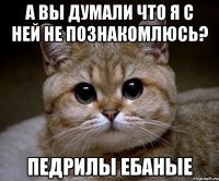 А вы думали что я с ней не познакомлюсь? Педрилы ебаные