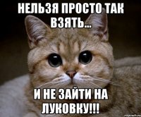 Нельзя просто так взять... и не зайти на ЛУКОВКУ!!!