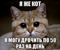 Я же кот Я могу дрочить по 50 раз на день