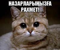 Назарларыңызға рахмет! 