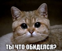  Ты что обиделся?