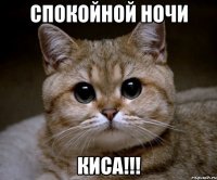 Спокойной ночи КИСА!!!