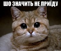 Шо значить не приїду 