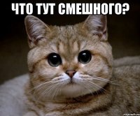 Что тут смешного? 