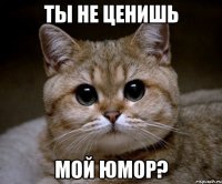 Ты не ценишь мой юмор?