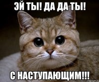 Эй ты! Да Да ты! С наступающим!!!