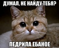 думал, не найду тебя? педрила ебаное