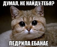 думал, не найду тебя? педрила ебанае