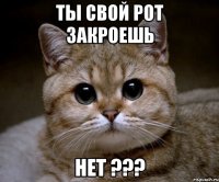 Ты свой рот закроешь нет ???