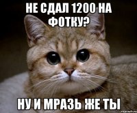 не сдал 1200 на фотку? ну и мразь же ты