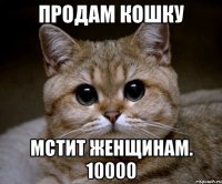 Продам кошку Мстит женщинам. 10000