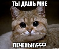 ты дашь мне ПЕЧЕНЬКУ???