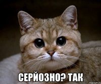  Серйозно? так