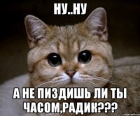 ну..ну А не пиздишь ли ты часом,Радик???