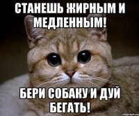 Станешь жирным и медленным! Бери собаку и дуй бегать!