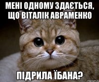 Мені одному здається, що Віталік авраменко підрила їбана?