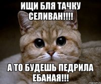 ищи бля тачку Селиван!!!! а то будешь педрила ебаная!!!