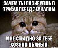 Зачем ты позируешь в трусах перед зеркалом Мне стыдно за тебе хозяин ибаный