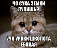 чо сука земки лупишь? учи уроки школота ебаная