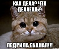 Как дела? Что делаешь? Педрила ебаная!!!