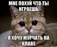 мне похуй что ты играешь я хочу мурчать на клаве